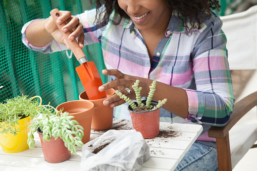 Woman adding soil to a small pot to plant succulents while smiling