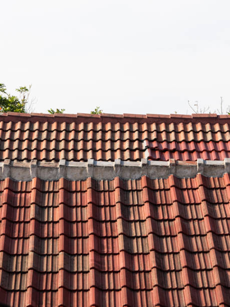 istock Roof tiles 1058186146