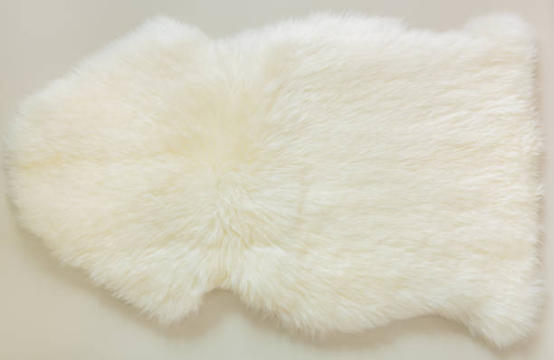 istock background and textured of real white cream wool sheep 1058187900