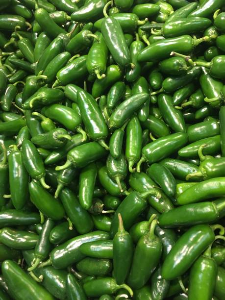 istock GREEN JALAPENO PEPPER 1058189662