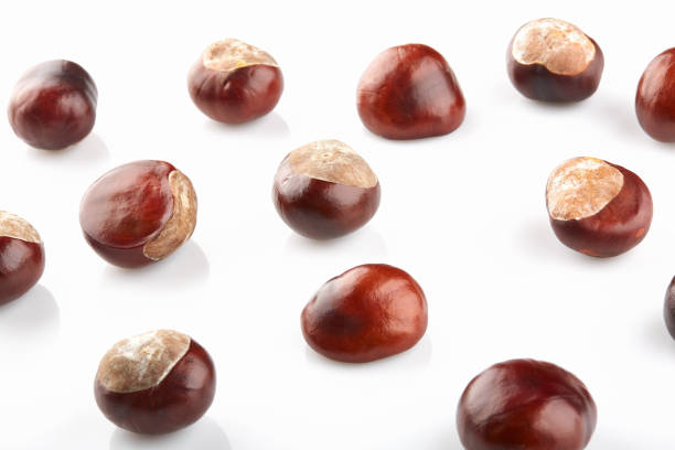 istock Many peeled chestnuts lie on white background 1058190228