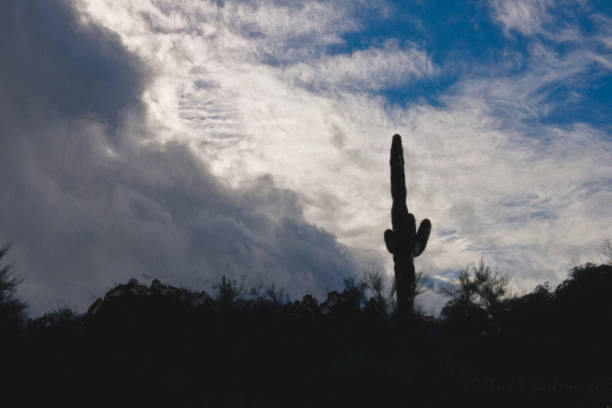 istock Saguaro in Silhouette against White Clouds 1058194730