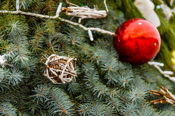 istock Background of christmas tree and decorations 1058201818