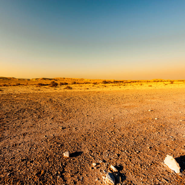 istock Fantastic sunrise in the desert. 1058203000