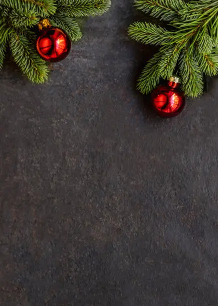 Photo of Christmas background with  fir tree and  festive decoration on dark black  board, copyspace