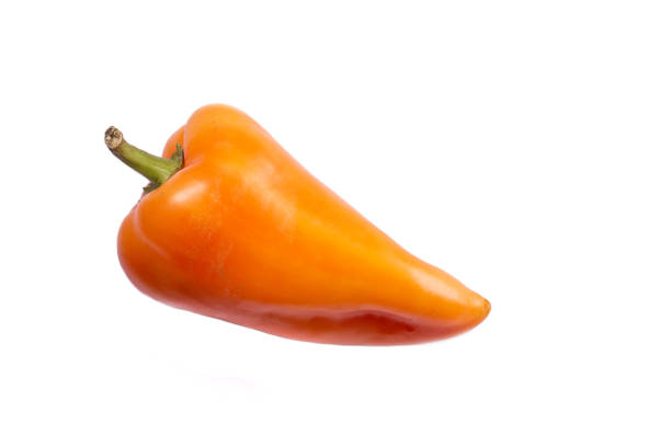 istock Beautiful fresh pepper paprika 1058203644