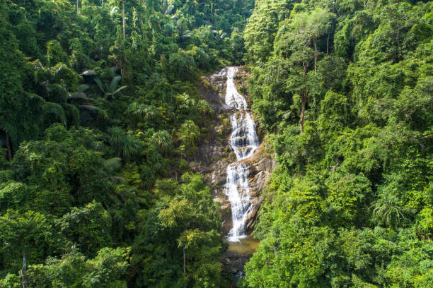 istock Aerial shot tropical forest and  Waterfall  south Thailand 1058206720