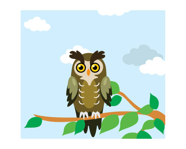 Cute And Adorable Owl Bird Perched On A Tree Branch Cartoon Character Stock  Illustration - Download Image Now - iStock
