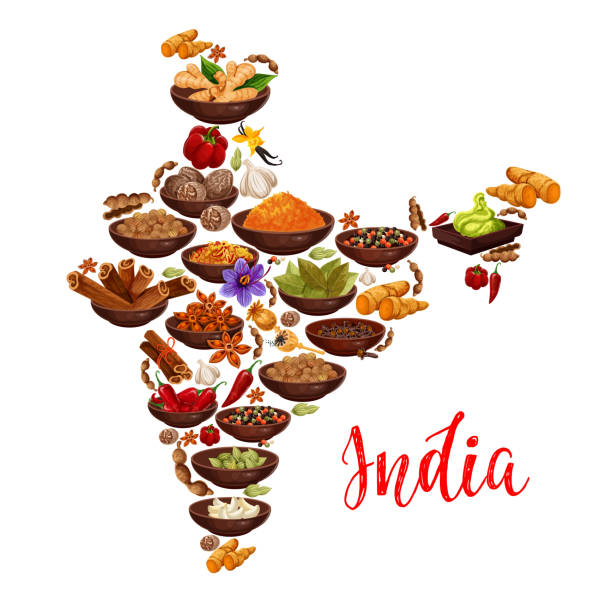 Vector India map of Indian spices Indian cuisine spices in India map Vector design of curry, ginger and anise with masala seasonings of chili pepper and turmeric curcuma, saffron or vanilla and nutmeg india sweets stock illustrations