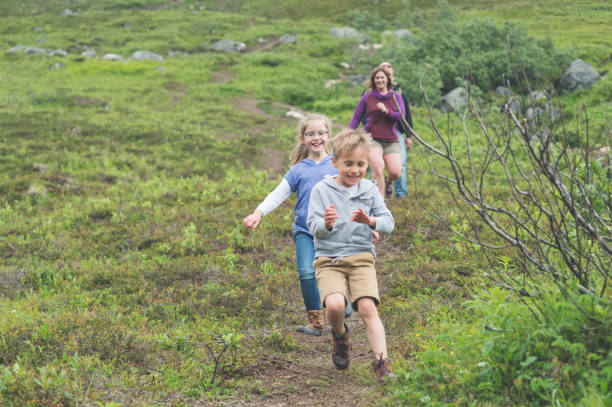 istock Family hiking on Alaska mountain 1058228110