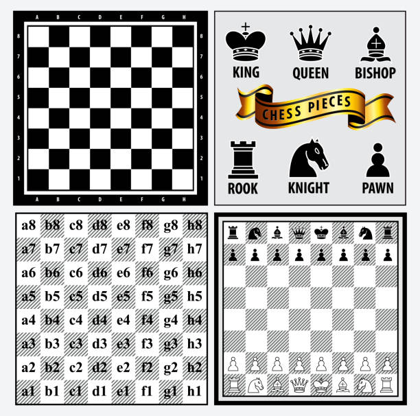 체스 조각 요소, 승자와 패자의 개념, 공정한 게임에서의 집합입니다. - looser stock illustrations