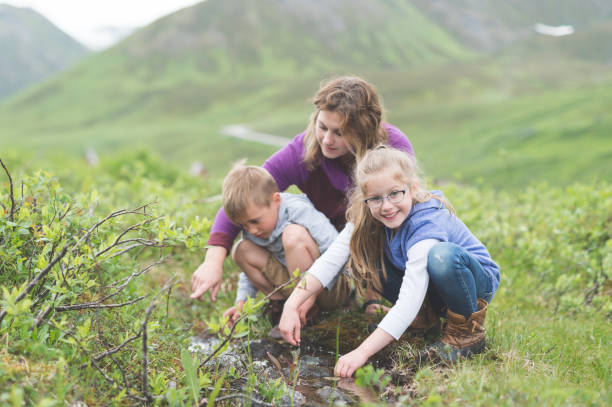 istock An Alaskan mom looks for creatures in a tiny stream with her two children 1058230022