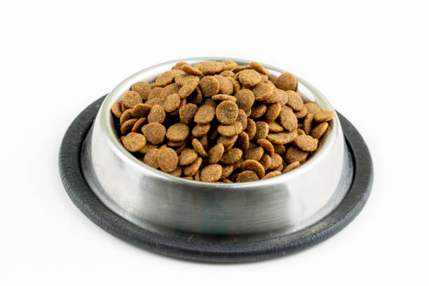 istock Cat and dog food on the white background 1058236246