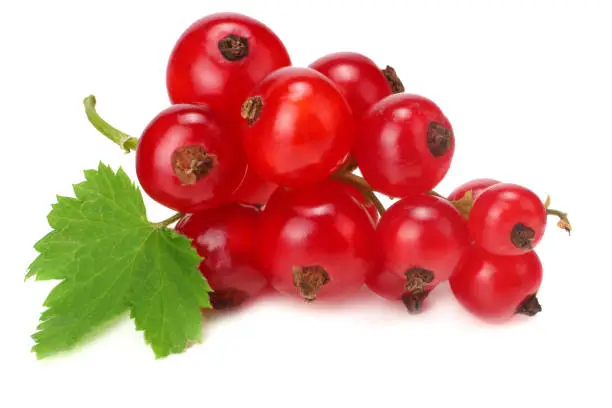 red currant with green leaf isolated on a white background. macro. healthy food