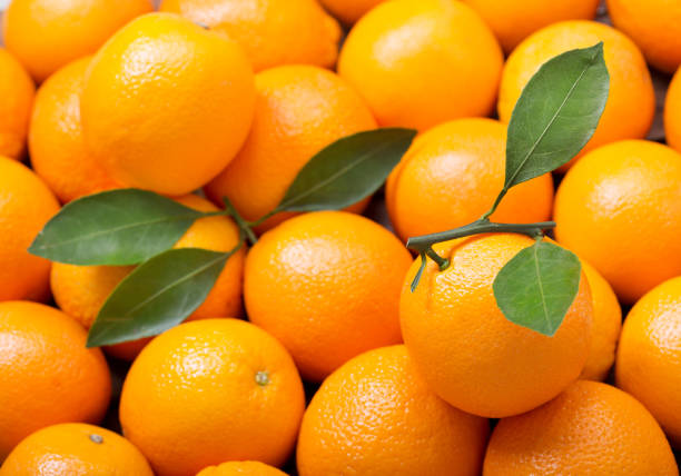 istock fresh orange fruits as background 1058241226