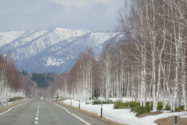 istock Nukabira road in early spring Hokkaido 1058244078