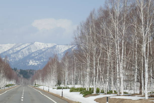 istock Nukabira road in early spring Hokkaido 1058244088