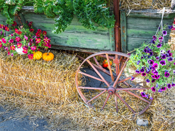 Autumn arrangement with pumpkins and hay on an old waggon