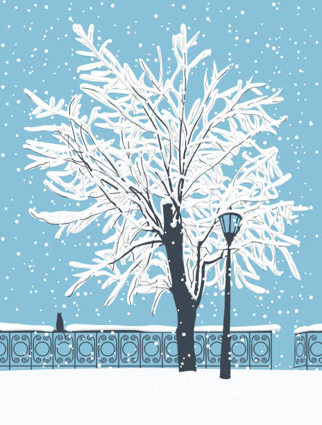 зимний пейзаж с кошкой в заснеженном парке - invitation decoration frost placard stock illustrations