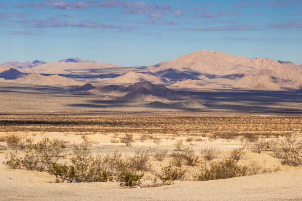 istock Californian Desert Landscape 1058265692