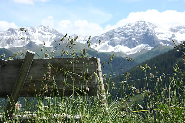 Bench with a View  arosa photos stock pictures, royalty-free photos & images