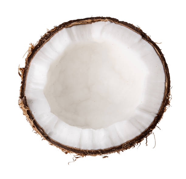istock Coconut isolated on white background. Clipping path 1058267078