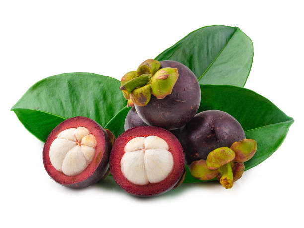 istock Ripe mangosteen fruit isolated on a white background 1058267500