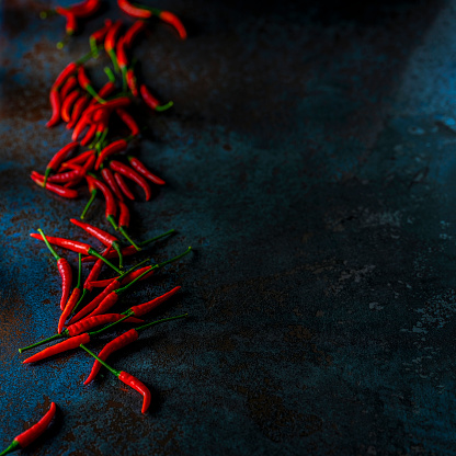 Fresh spicy red chili peppers on an atmospheric, dark rustic blue background with good copy space to the right of the image.