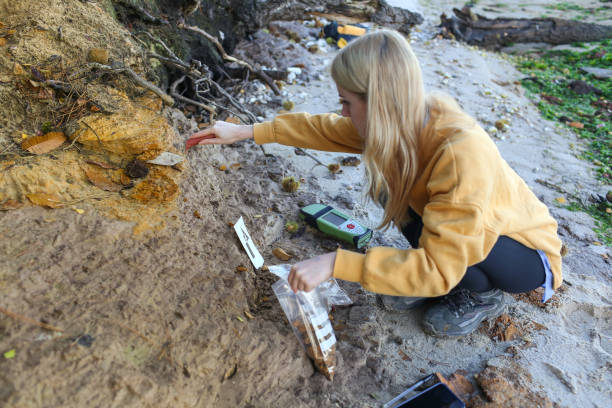 carrera geología estudiante tomando muestras de rocas costeras y el uso de un gps para el punto de perno cambia su posición en el sur de inglaterra como parte de su tesis de geología de último año sobre el nivel del mar en el reino unido - geología fotografías e imágenes de stock