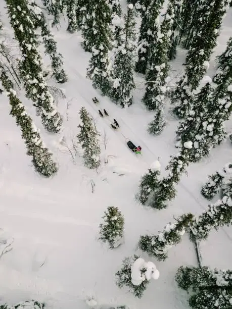 Aerial view of sledding with husky dogs in Lapland Finland. Drone photography from above