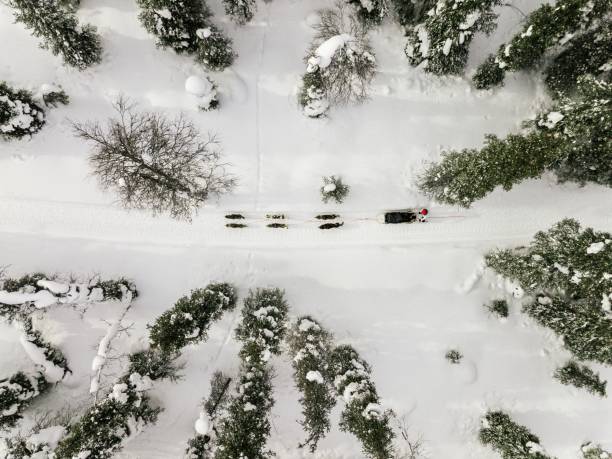 Aerial view of sledding with husky dogs in Lapland Finland. Aerial view of sledding with husky dogs in Lapland Finland. Drone photography from above dogsledding stock pictures, royalty-free photos & images