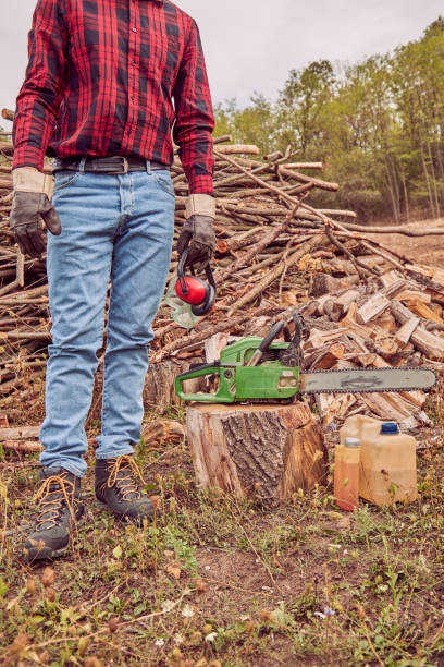 istock Lumberjack with chainsaw and pile of cut woods. 1058290696