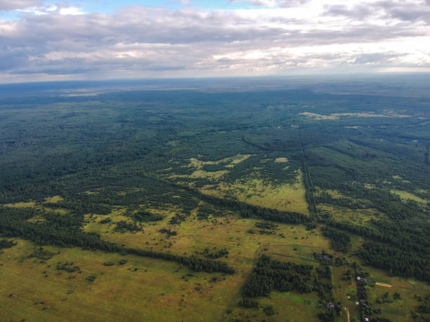 istock Huge forest from the height of summer 1058291282