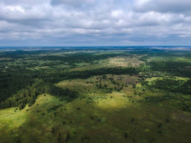 istock Huge forest from the height of summer 1058291322