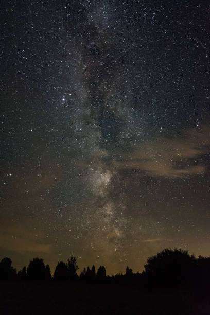 istock Milky way over the forest 1058291666