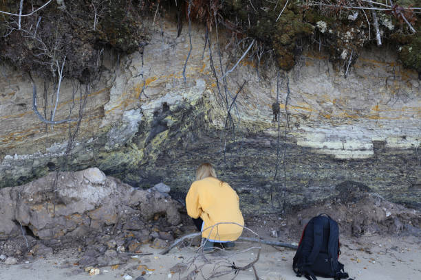 Final year female Geology student examining coastal rock samples as part of her final year Geology dissertation on sea level changes in the UK