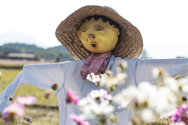 Rag bird scarecrow with bow tie and hat surrounded by green leafy plants and blurred background.