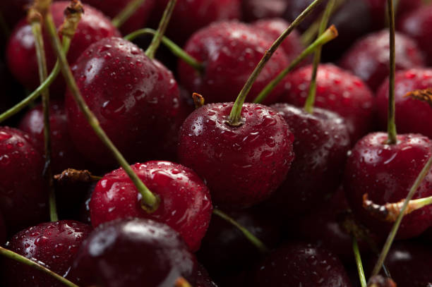 istock Red sweet cherries with stalks and leaves 1058303254