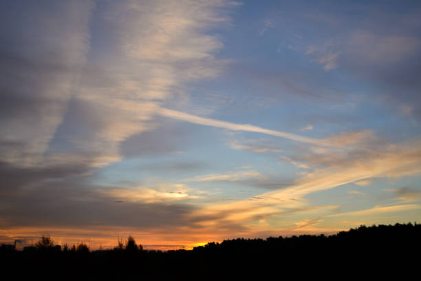 istock The forest silhouette against the morning sky 1058303334