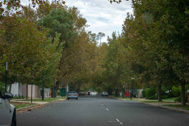 istock landscape of a typical street in Perth 1058304758