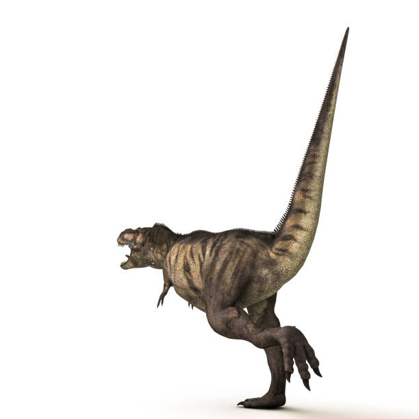 istock Tyrannosaurus Rex 1058305696