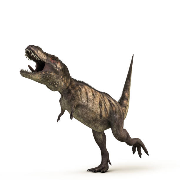 istock Tyrannosaurus Rex 1058305738