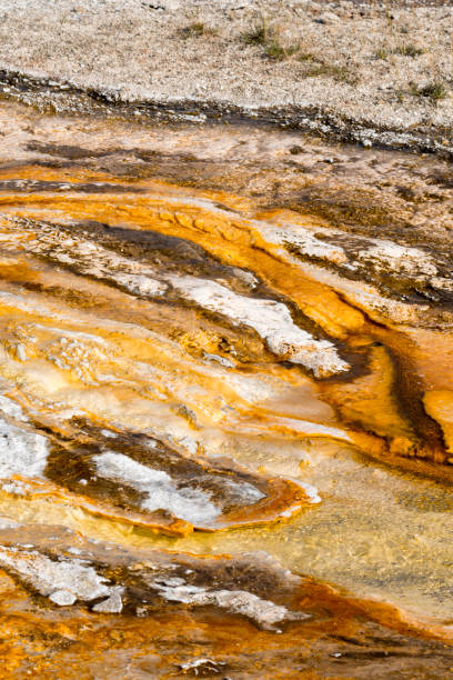 istock hot pools in Yellowstone National Park 1058306302