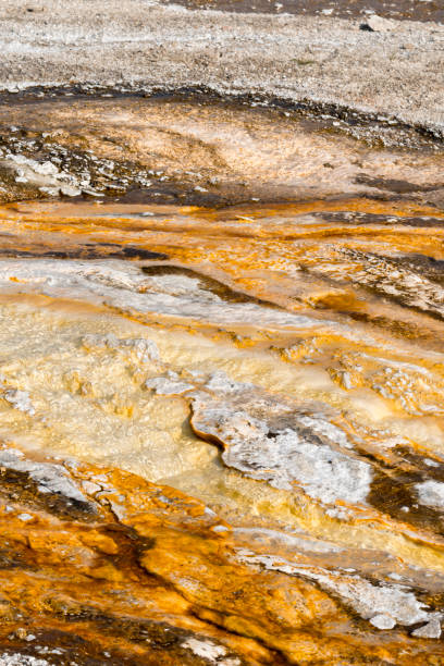 istock hot pools in Yellowstone National Park 1058306322