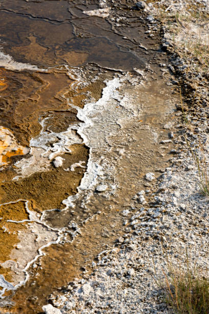 istock hot pools in Yellowstone National Park 1058306526