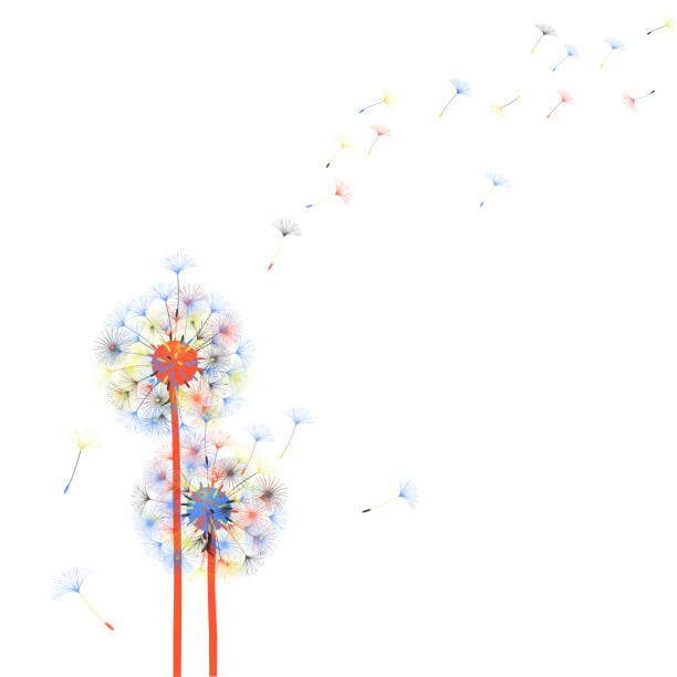 Abstract background of a dandelion for design. Dandelion for design. Abstract background . The wind blows the seeds of a dandelion. Template for posters, wallpapers, posters. Vector illustrations. dandelion stock illustrations