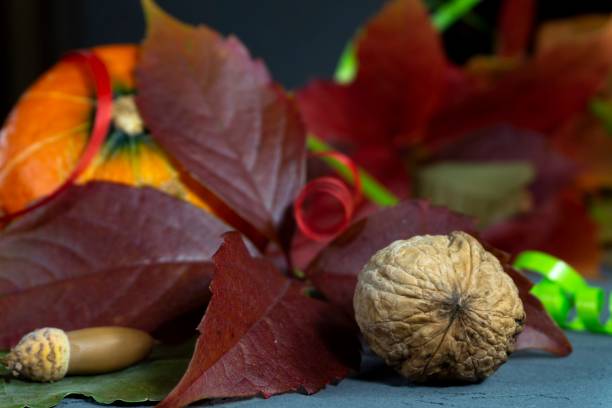 istock Autumn still life with leaves, pumpkin and nuts 1058312420