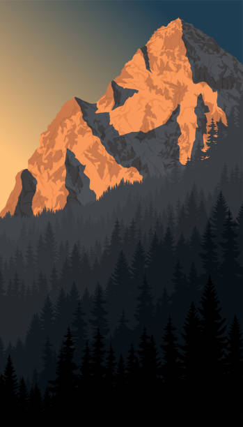 ilustrații de stoc cu vector de dimineață pălărie în alpi peisajului împădurite de munte - mont blanc