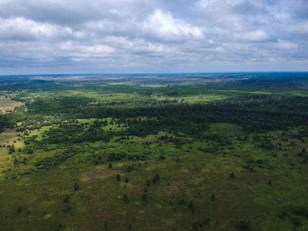 istock Huge forest from the height of summer 1058313396