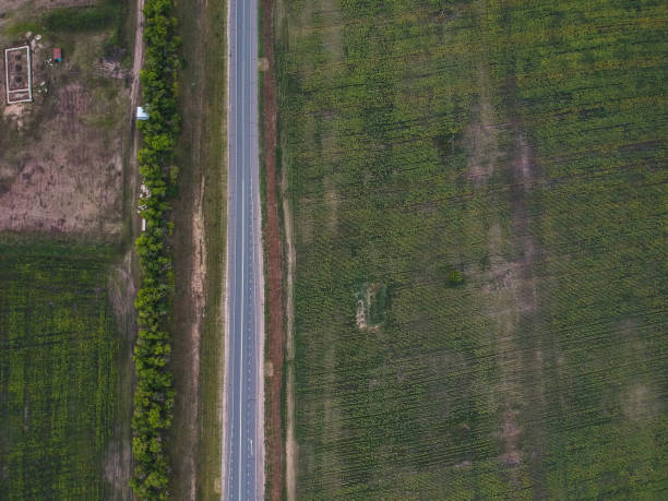 istock asphalt road in the field from a height 1058313516